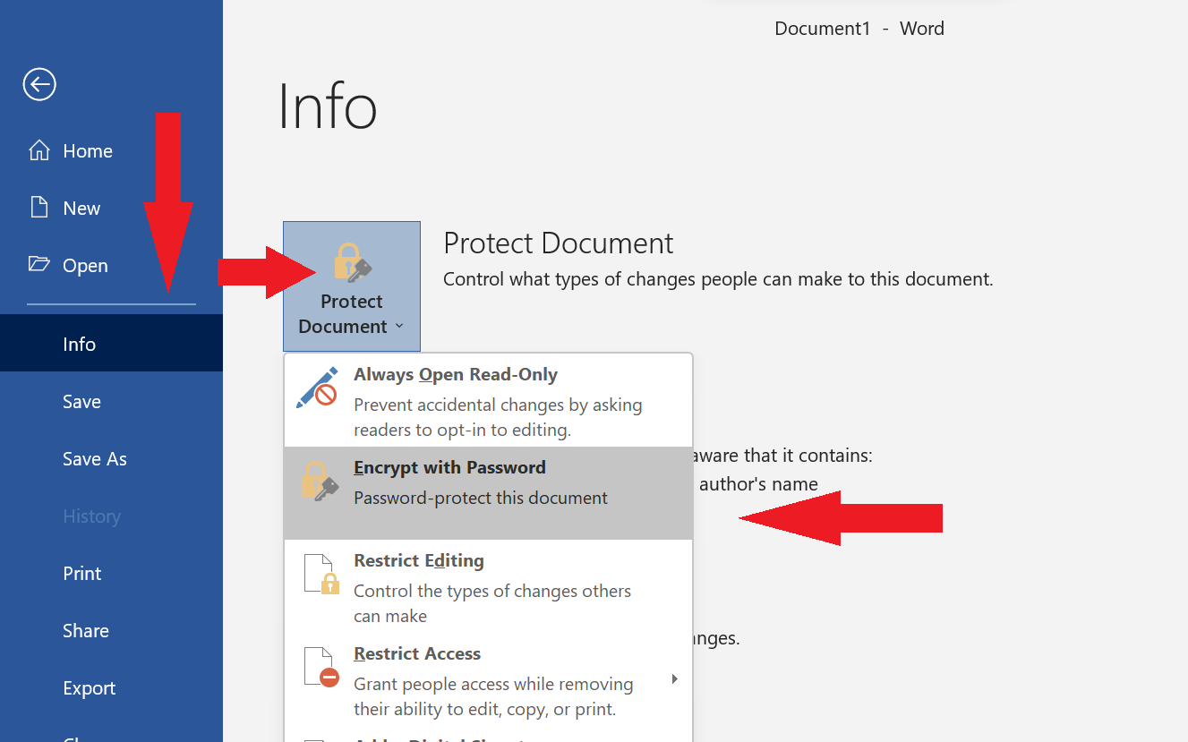 Screenshot of the Word document's settings and preferences in Office 365