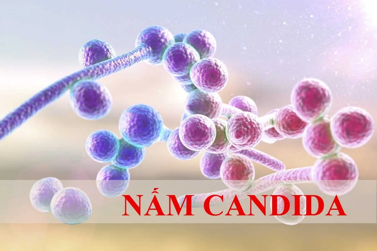 Nhiễm nấm Candida có thể khiến huyết trắng ra nhiều hơn.