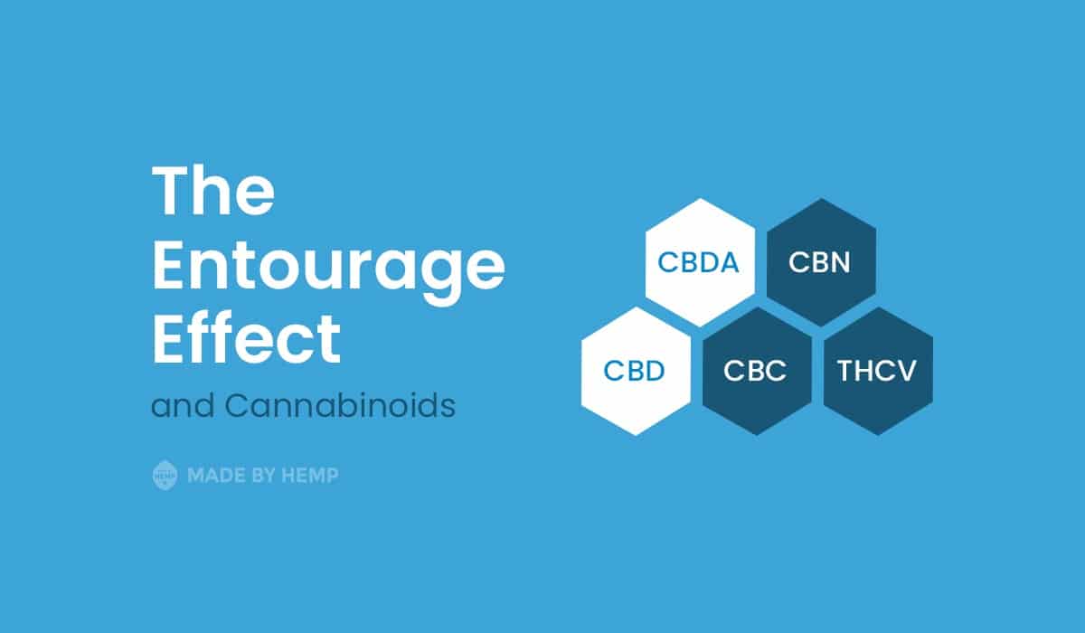 entourage effect cannabinoids