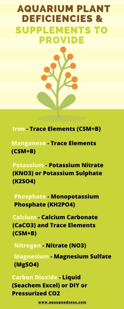 Aquarium plant deficiencies and supplements to provide infographic