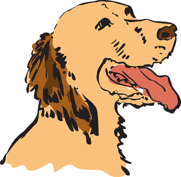 Free vector graphic: Dog, Pet, Animal, Tired, Panting - Free Image ...