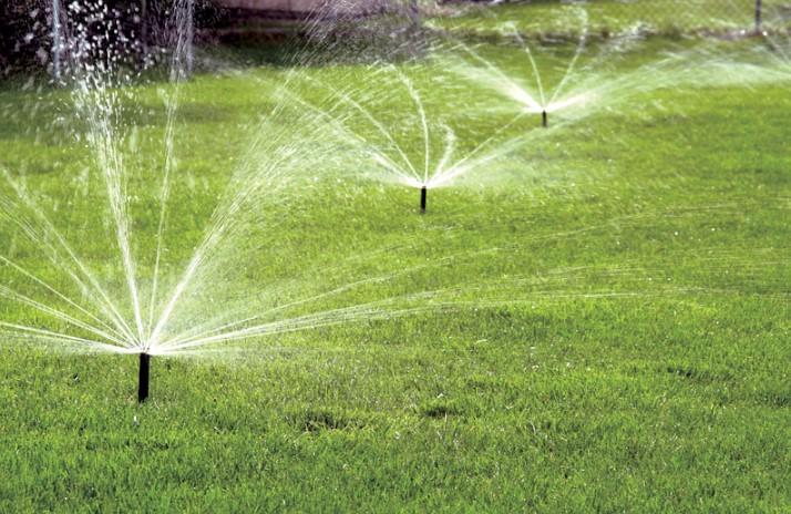 Sprinklers watering a lawn