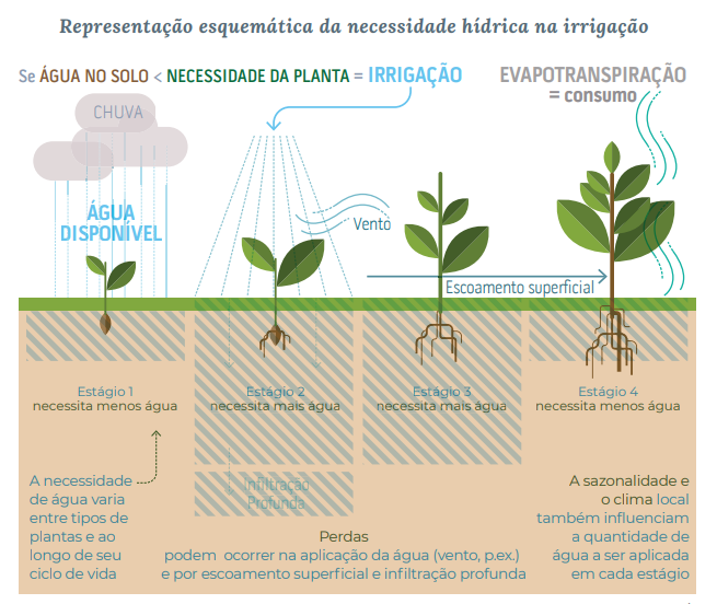Manejo de irrigação: entendendo a evapotranspiração 