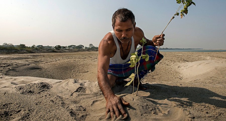 Jadav Molai Paleng The Forest Man