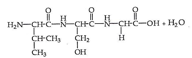 C:\Users\TRI WINDARI\Pictures\2013-05-20 007\33.jpg