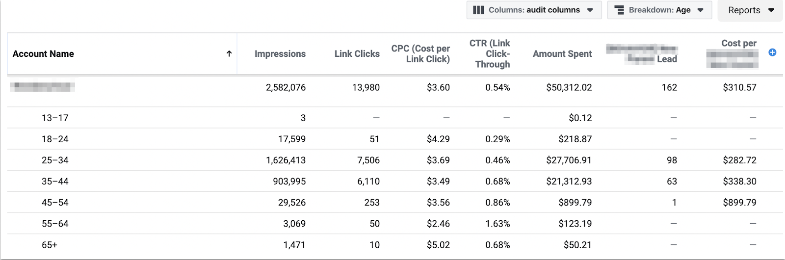 Facebook Ad report with a breakdown by age