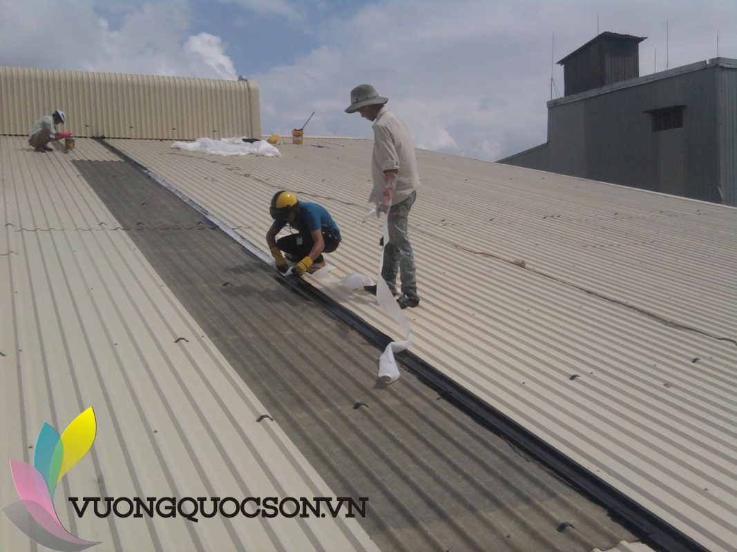 Kết quả hình ảnh cho site:https://vuongquocson.vn