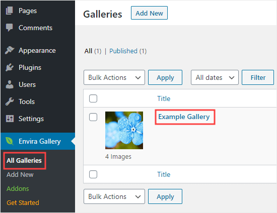 Editando uma galeria que você já criou na Envira Gallery