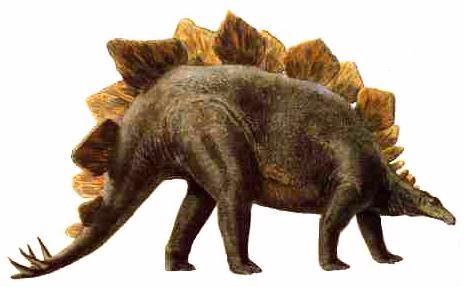 http://www.aldeadelpinar.com/entorno/animales/fosiles/estegosaurus_g.jpg