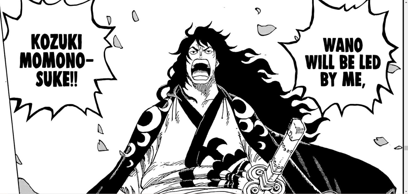 Shinobu in One Piece.