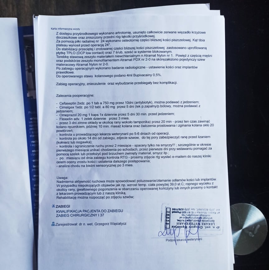 lE2YFbRLFKeYA0CvmWVYJiuDkFn_ZREV9FKazsBd_93m9OSi3VHct-6HgTao19e8qYuDmac8zB2ycqmA605iTFI2Ske2ogg9lj8cd7KGtzkGkOdArfliQfXjw_0vUx8DH6AaaNgTVSR9M89EJFL1JrDi-85os7iaZo8imMo4ByaYcUOM8sp1k9VUFLuPHA