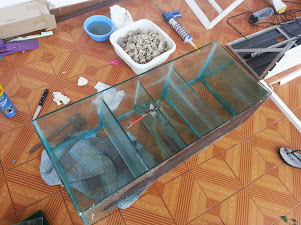 600l aquascaping LJ-mLyABm6qYJRq7R8gMRlauEQac58o4Qk3cIWgAgHI=w301-h225-p-no