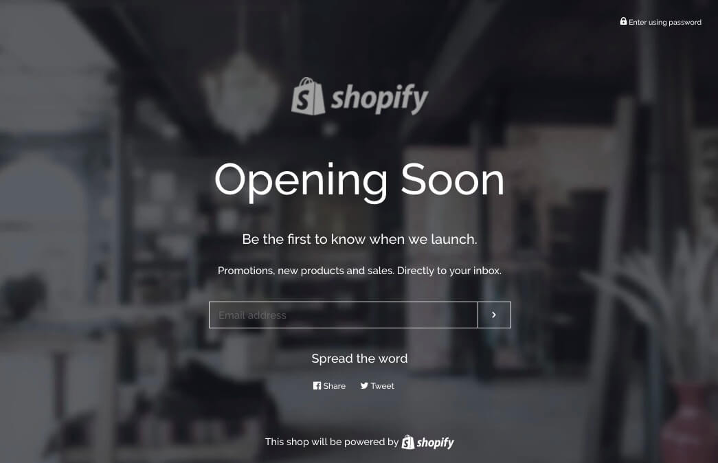 Shopify password protect page