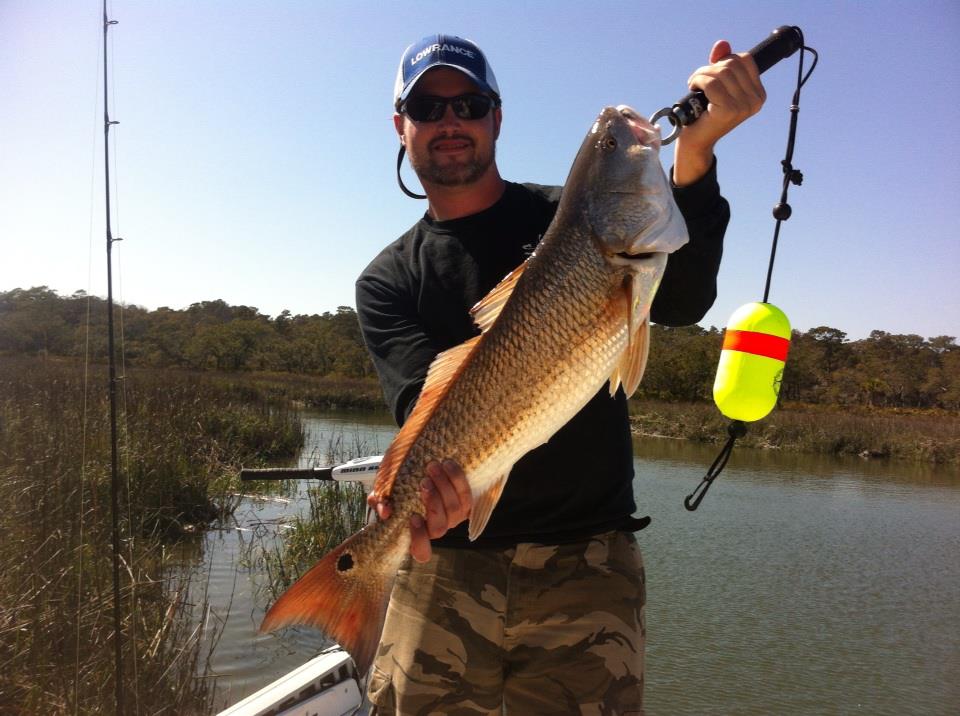 Redfish on the flood tide