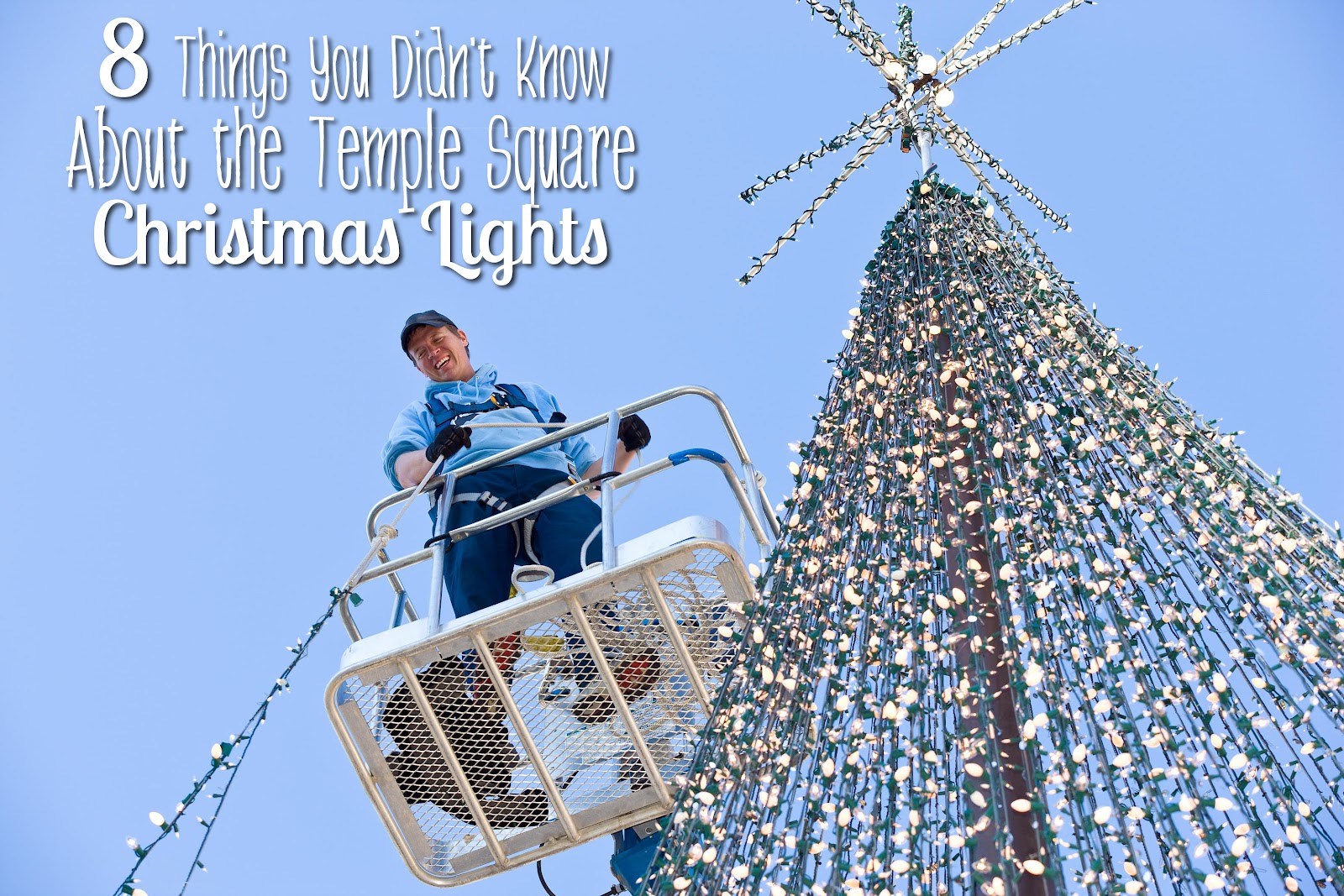 Christmaslights.jpg