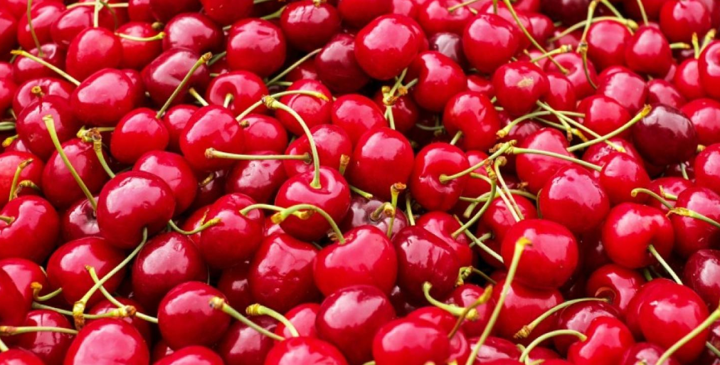 Quả cherry còn có tác dụng kháng viêm, giảm đau