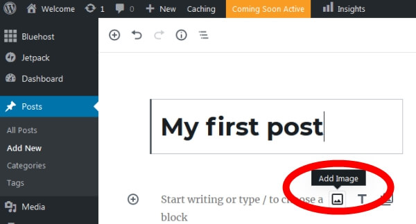 Wordpress - how to write blog post title 