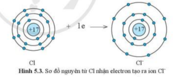 Câu hỏi trang 34 SGK TN&XH 7 CD tập 1