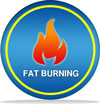 Image of a flame with "fat burning" written beneath