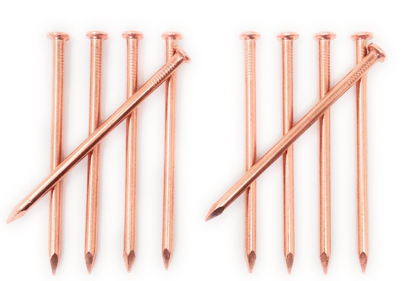 How to Kill Birch Trees With Copper Nails