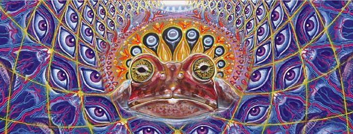 Psychedelic Integration Guide for Bufo & 5-MeO-DMT - EntheoNation