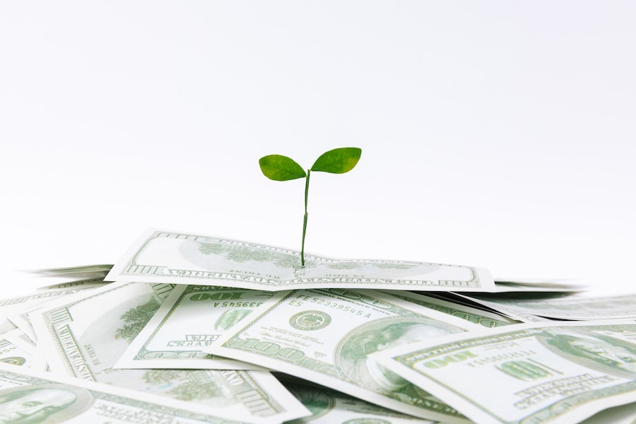 contoh investasi bodong