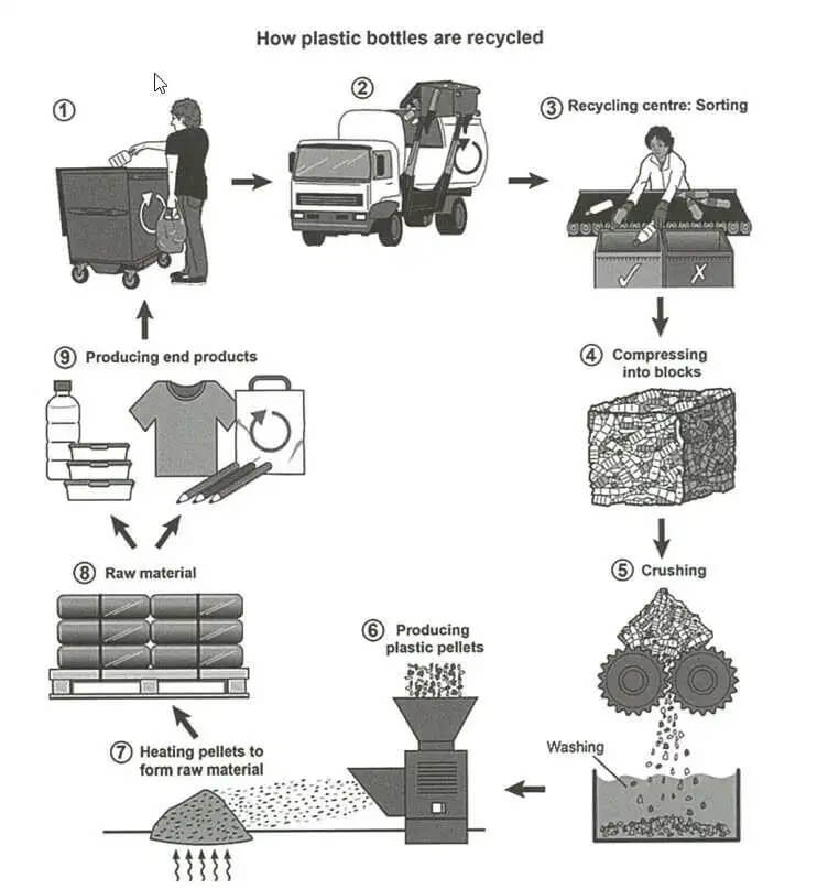 7 dạng bài trong IELTS Writing Task 1: Process