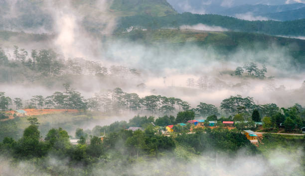 anh hoa da lat