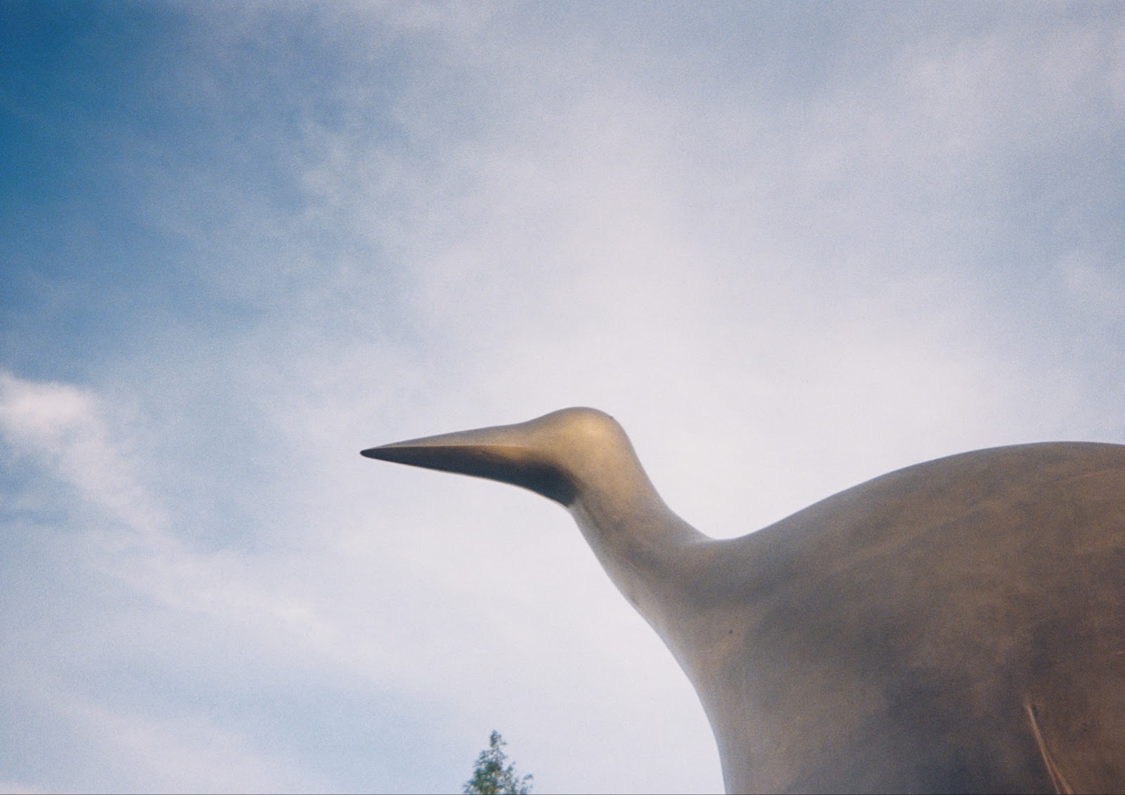 Image: Detail shot of Spirit of Survival, 1998. Metal egret's beak and torso against the sky. Courtesy of the author.