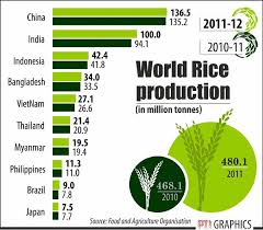 Image result for rice producers
