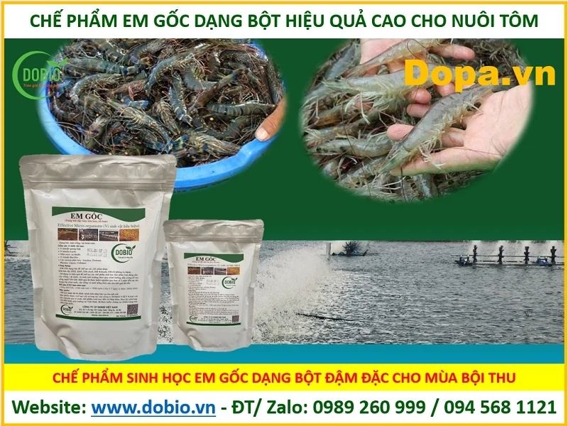 EM gốc với khả năng xử lý mùi hôi ao hồ cực đỉnh