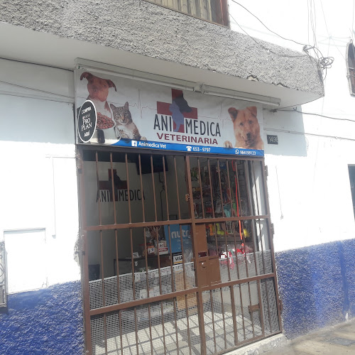 Ani Medica - Veterinario