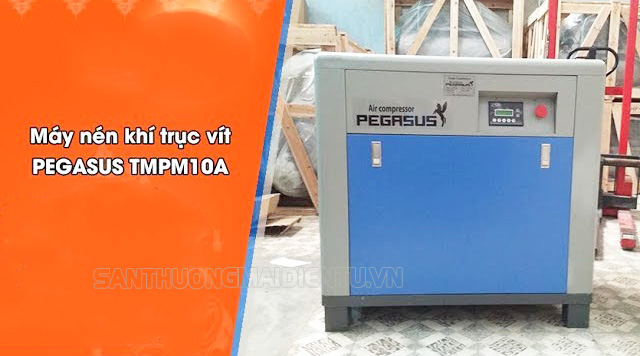 Pegasus TMPM10A