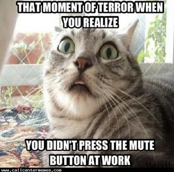 WILL YOU PRESS THE BUTTON? - iFunny  Memes, Some funny jokes, Press the  button