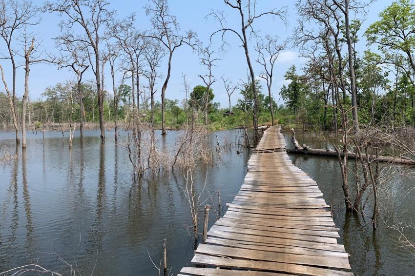 Makeshift wooden bridge constructed over water