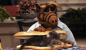 alf.jpeg