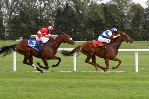 Hestevæddeløbsspil: topfaktorer og populære strategier