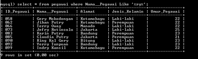 C:\Users\Aras\Documents\Tugas semester 1\Basis data\Tugas besar\7 Like, Order by, Grup By, Asc, Des\Like\Pegawai\Like 33.PNG