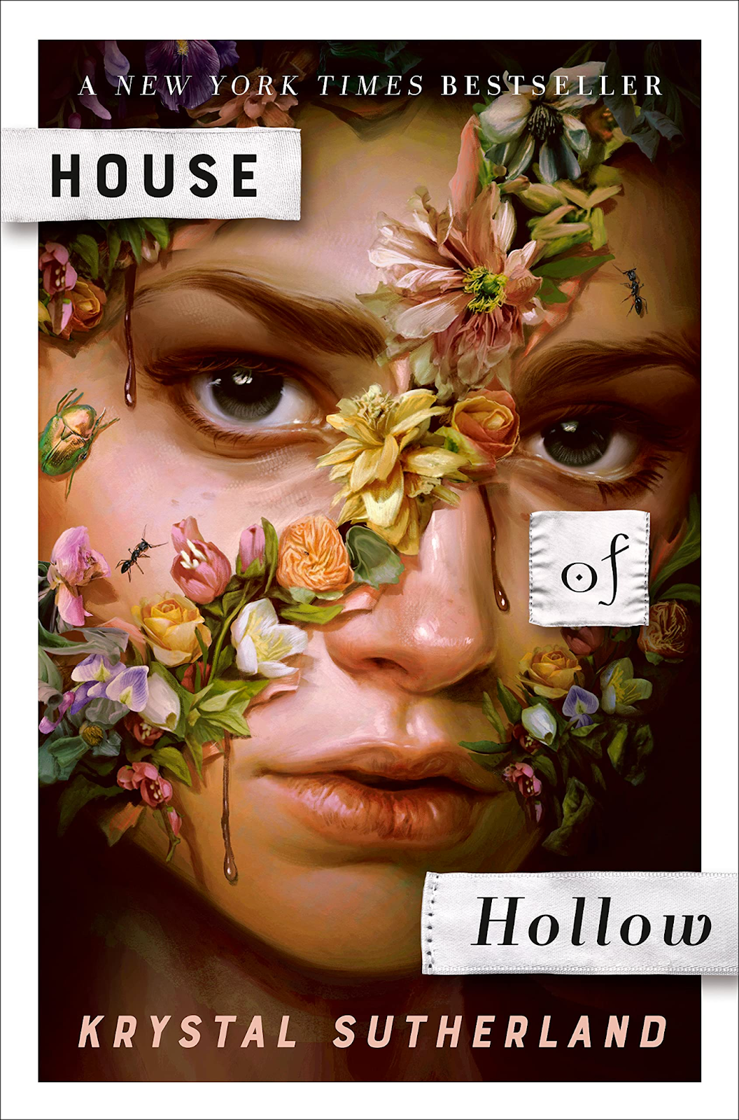 cover of House of Hollow by Krystal Sutherland