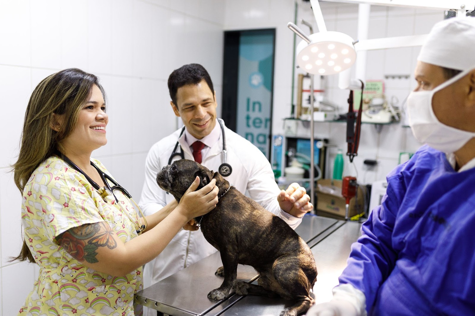 Gestores veterinários conversando avaliando cachorro coberto pelo plano de saúde pet 