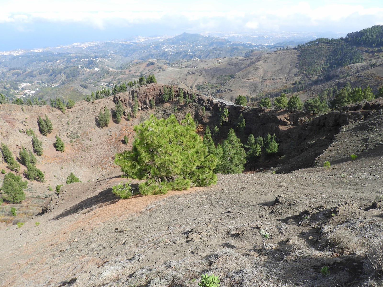 Caldera de los Piños de Gáldar, Gran Canaria