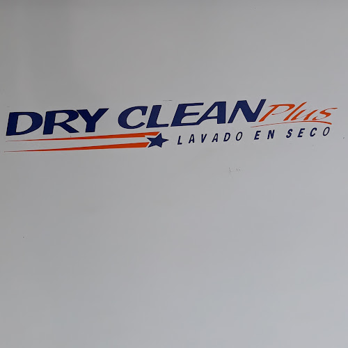 Dry Clean Plus Ceibos - Lavandería