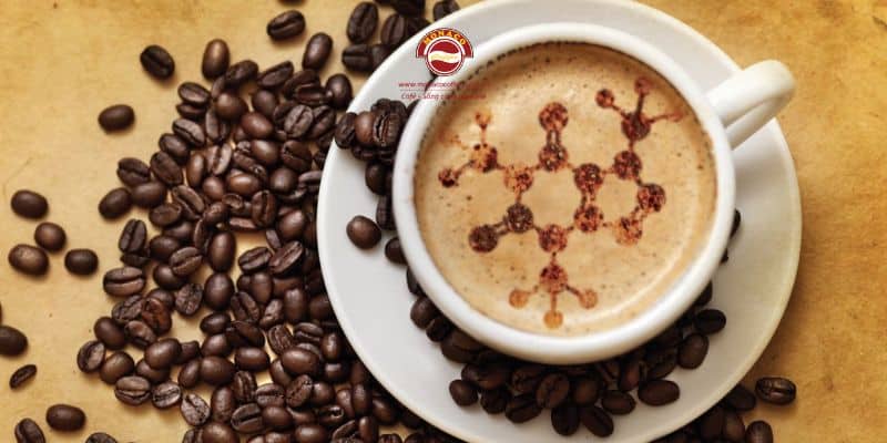 caffeine và công dụng đối với sức khoẻ