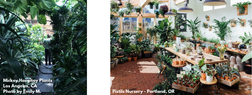 Top 25 Trendy Plant Shops - Yelp
