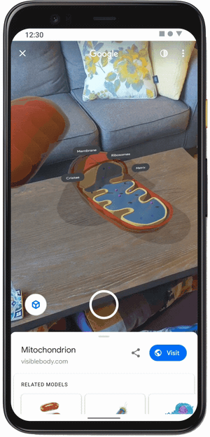 Vista en 3D de una mitocondria en una pantalla de móvil de Google.