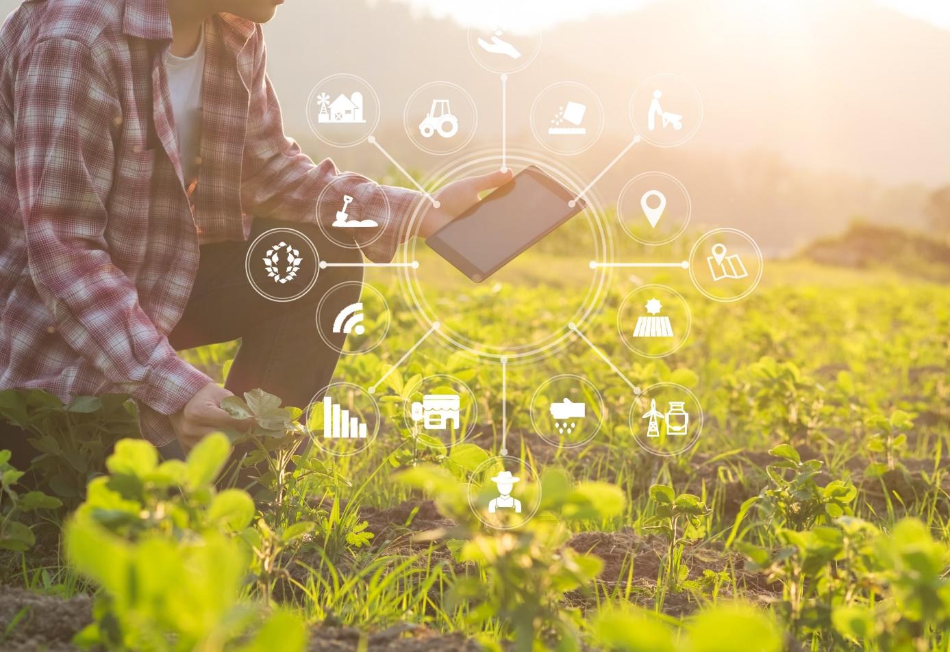 Man in field holding edge device