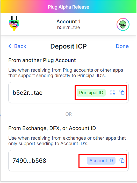 plug-wallet-la-gi