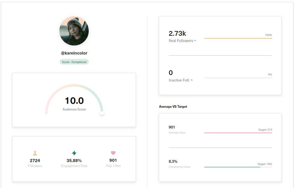 fake follower checker example