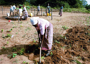 http://siteresources.worldbank.org/EXTASSAGRISUBSAHAFR/Images/image_main.gif