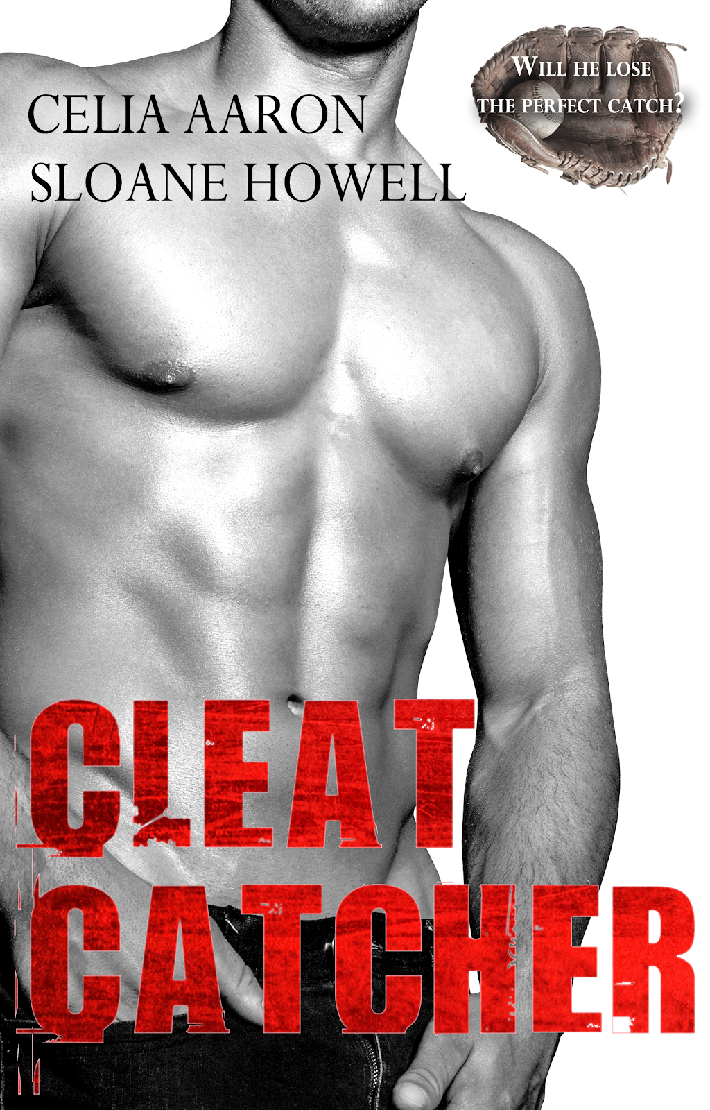 Category: Cleat-catcher-by-celia-aaron-sloane-howell-excerpt-reveal - Four  Chicks flipping pages